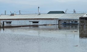Почти 100 предприятий пострадали от паводка в СКО